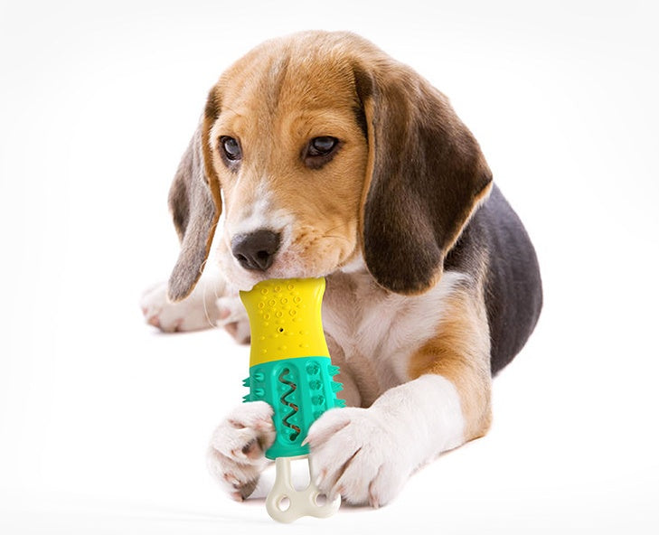 Cooling Pet Chew for Summer | Durable Teeth Cleaning and Dental Care Toy